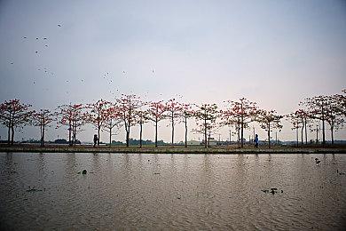 《哥谭骑士》主机版首发或仅有4K＆30fps画质模式